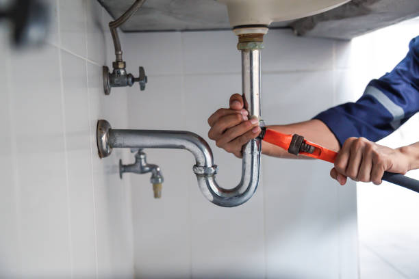 Best Commercial Plumbing Services  in Snohomish, WA